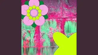 Stylish Backdrops for Creative Night