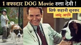 Beethoven: An Emotional Dog Movie Explained in Hindi, A Story of a Loyal Dog and Family!