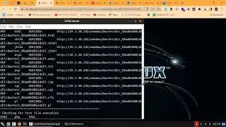 Operating System Exploitation
