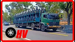 Truk dan Bus di Jalan Lintas Kota | WOT - HEAVY VEHICLE SPOTTING | Probolinggo, Indonesia