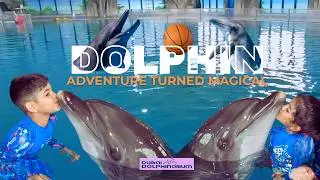 Dubai&rsquo;s Most Magical Dolphin Experience 🐬 (Unbelievable!)