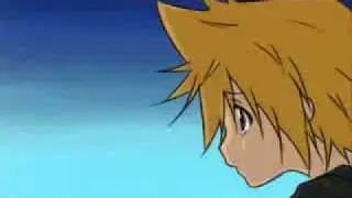 kingdom hearts - Naraku no Hana - Higurashi kai parody