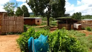 LANDS || Residents of Kishamba B Group Ranch Applaud the ELC Verdict to Elect Leadership in 90 days.