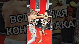 Контр-атака в ММА #mma #mma #champion #файтинг #kickboxing #бокс #muaythai