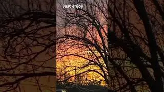 Just enjoy ok #music #electronicmusic #slowedandreverb #slowed #remix