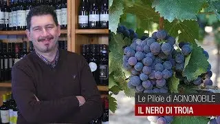 Il Nero di Troia