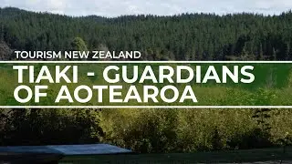 Tiaki - Guardians of Aotearoa | Tourism New Zealand | Travel Redefined