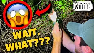 You WON'T BELIEVE What I FOUND! NIGHT HIKE Adventure!