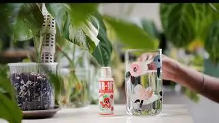 HB-101 Liquid Benefits & Usage