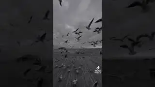 Love Islam💖#unfrezzmyaccount #please_subscribe_my_channel #youtubeuniversity  #youtubeshorts