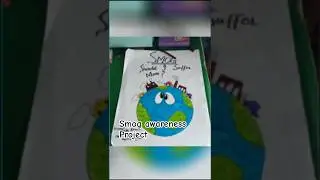 Smog Awareness Project by Class 6 | Creative School Chart Making Activity#schoolproject#chart