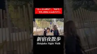 大久保公園💕「えっ、らんまる？」「ちがう！」「それ、ゆきにゃんのパクリ」 #新宿夜散歩 #shinjukunightwalk #大久保公園 #okubopark