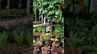 #peace #silence #meditation #soul #purelove  #music #nature  #funny watch till end