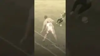 heee lebih bodoh lagi