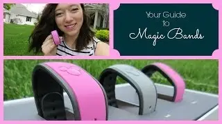 Countdown to DCP | Your Guide to Magic Bands