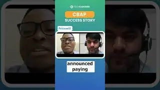 Overcoming CBAP Challenges &ndash; Pricewill&rsquo;s Success Story | Techcanvass