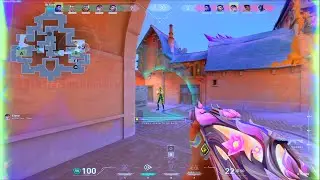 сияющий 29