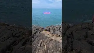 beautiful beach in brasil | ব্রাজিলের সুন্দর সমুদ্র 🇧🇩❤️🇧🇷 shorts
