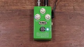 T-Rex Emmie