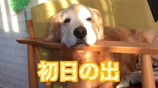 今年もどうぞ宜しくお願い致します