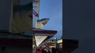 Evening Delights in Ocean City, Maryland