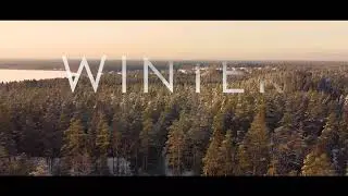DJI Mavic Mini. Winter. Saint-Peterburg