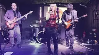 Freeze Stupidity live im Sugar Shack 14. 11. 2025