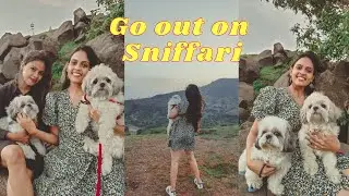 Outdoor time with Lhasa and shih tzu Dog | Go out on SNIFFARI | LUCY MIGUEL |