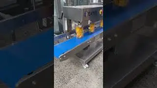 Vertical continuous sealing machine for rice crackers