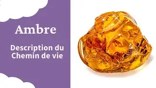 Ambre dans Bracelet Chemin de vie Explication Signification Comment l' interpréter en Lithothérapie