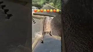 The Worst Log Flume Ride Ever