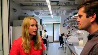 The Use of Human iPSC-derived Motor Neurons for Translational Research