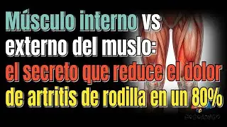 Músculo interno vs externo del muslo el secreto que reduce el dolor de artritis de rodilla en un 80％