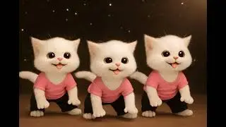 बिल्ली डांस | Cutest Cat videos funny dance🤣💃Dance Videos for cats #funny #dancingcat #cat #cute