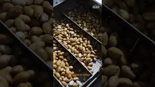 Custom Nut Machines Designed for Your Output and Factory #JDX #nutprocessingline #NutProcessing