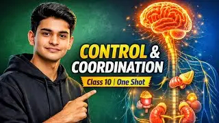 Control and coordination class 10 Biology | Full chapter in one video 🔥 | By Ashutosh Pandey 