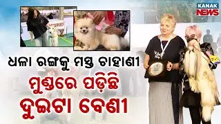 Special Report: Bhubaneswar Dog Show 2025 | See Rare Breeds Like Mudhal Hound & Shih Tzu