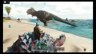 How to tame a carchar