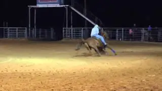 GIN RUM BOOGIE AKA Poptart winning 3rd in 2D at Quachita.