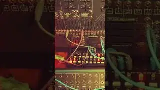 antherium - Arp 2600m / PWM Malevolent  #experimental #synth #jam