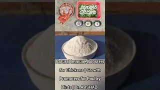 Natural Immune Boosters for Chickens | Growth Promoters for Poultry Birds | Dr. ARSHAD | Part 2