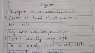 10 Lines On Pigeon 🐦| Essay On Pigeon In English | Easy Sentences About Pigeon