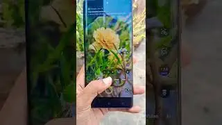 Vivo V40 5G || Best smartphone #shorts #vivo #viralvideo #youtubeshorts