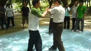 王傑老師Push Hands Grandmaster Wang Chieh_推手十三法