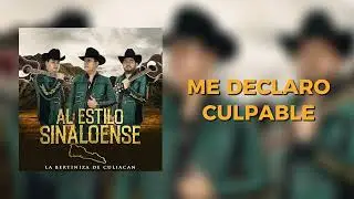 La Bertiniza De Culiacan - Me Declaro Culpable (Album 2025/2026)
