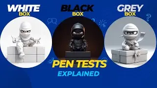 Types of Penetration Tests - Black box vs White box vs Grey Box Pen Testing Explained