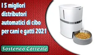 I 5 migliori distributori automatici di cibo per cani e gatti 2021
