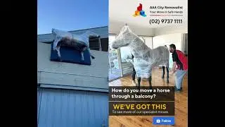 When a Horse Doesn&rsquo;t Fit Through the Door&hellip; We Go Through the Balcony! 🐴🚚