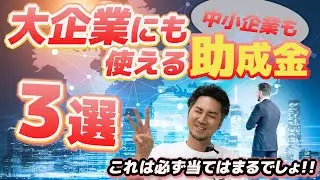 【王道３選】大企業でも使えるおすすめ助成金３選｜キャリアアップ助成金、人材開発支援助成金