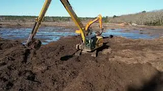 Restoring Nature at The Bogs: A Journey from Cranberry Fields to Wetlands